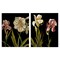 Stupell Industries Blooming Purple Iris White Lily 2 pc Canvas Wall Art Set Design by Samantha Carter